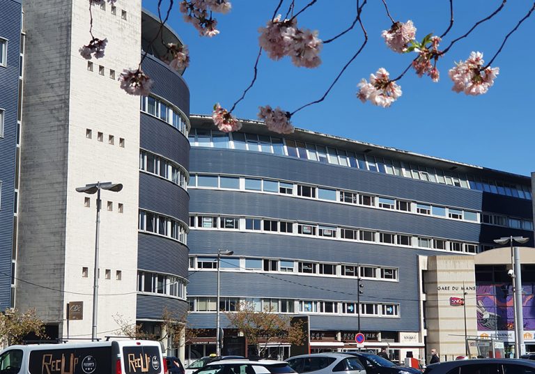 Visuel avec arbre 1 768x537